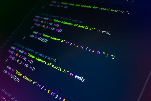 Custom Software Development — professional IT service by BKIT Developers