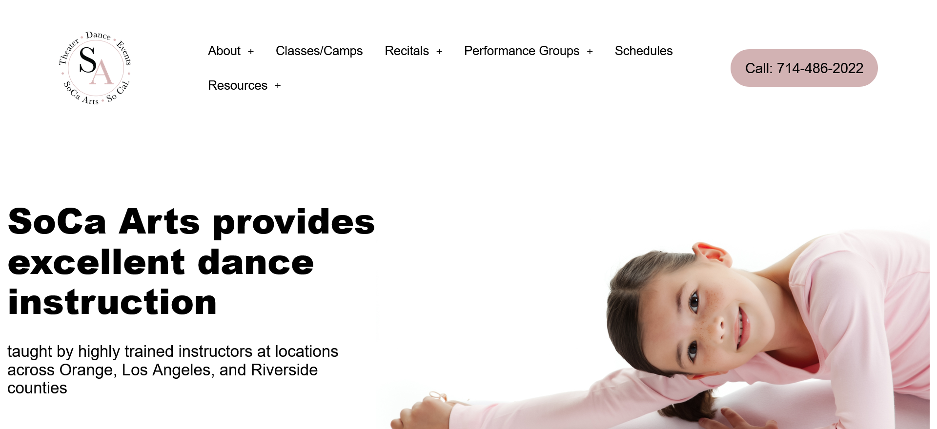 Professional Services Platform — Professional Services